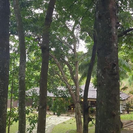 Villa D55 캔디 외부 사진