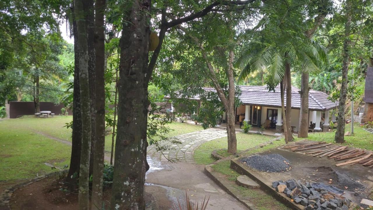 Villa D55 캔디 외부 사진